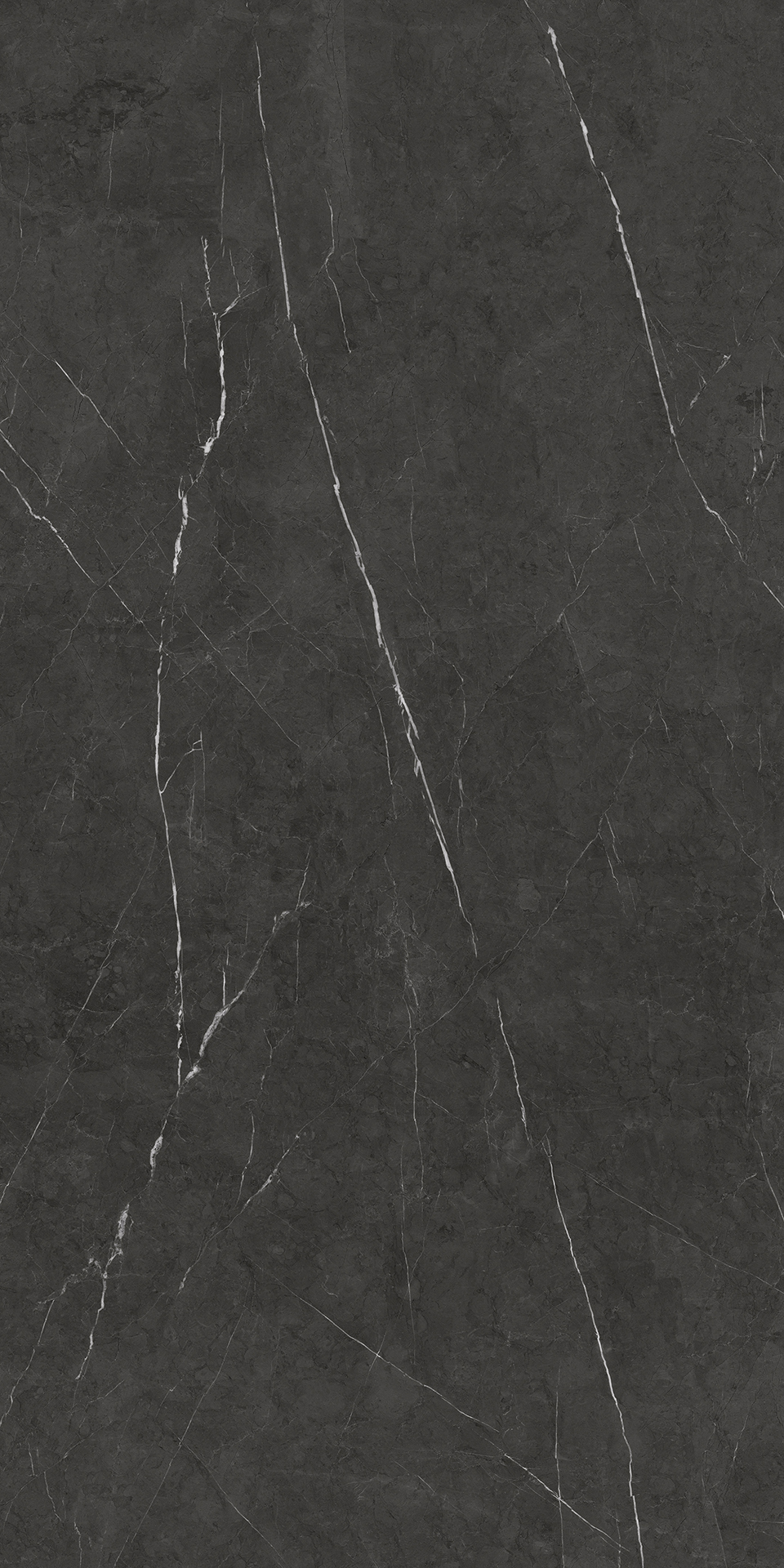 BULGARIA BLACK