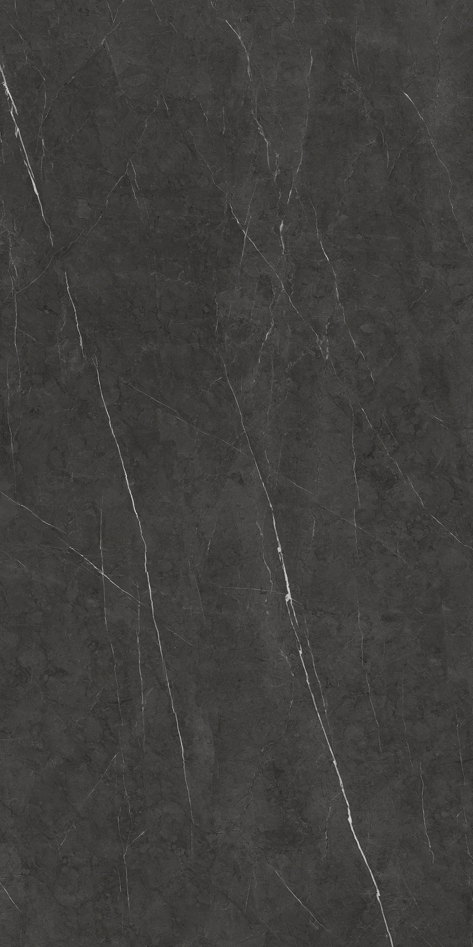 BULGARIA BLACK