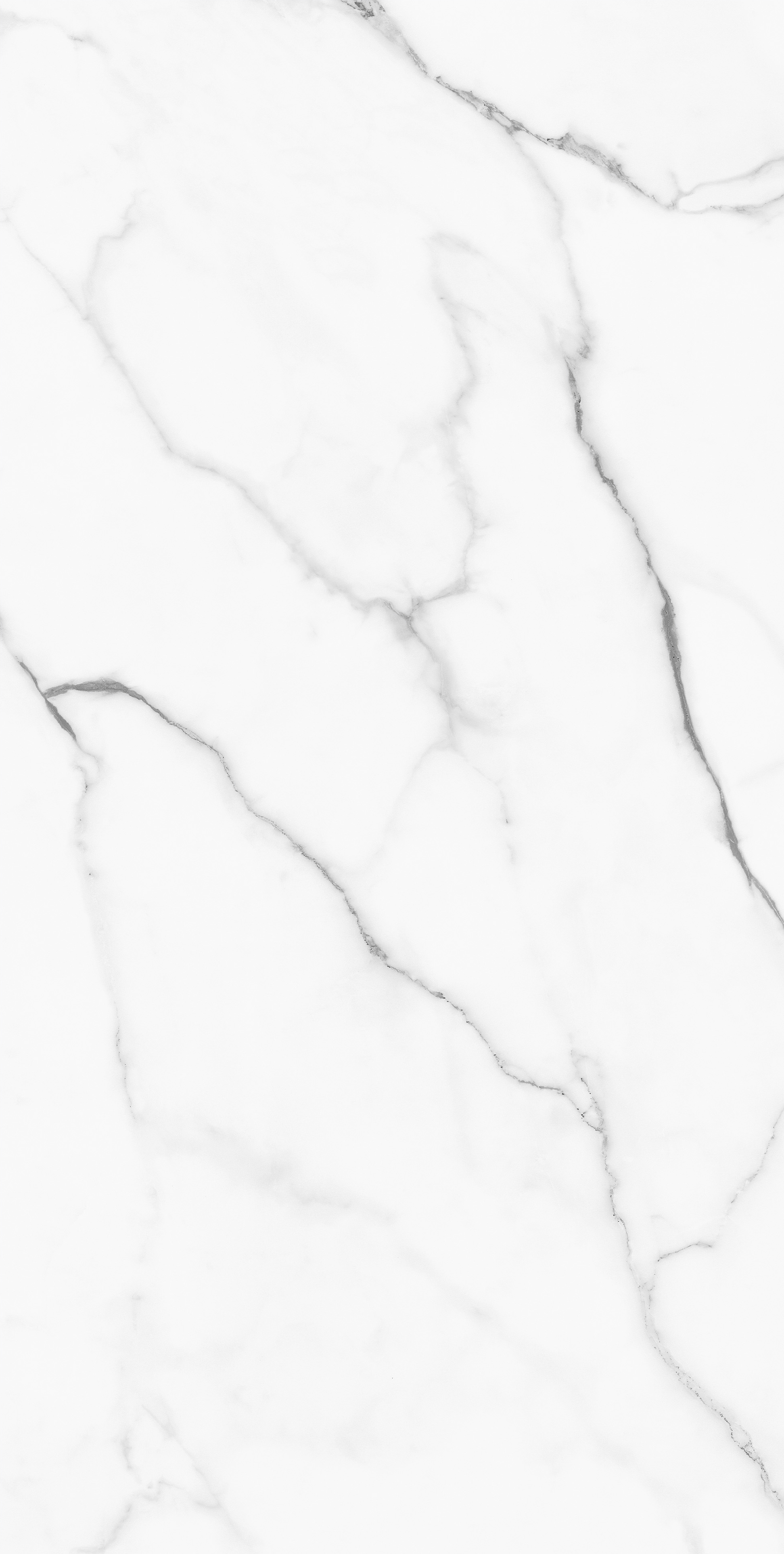 GLACIER WHITE