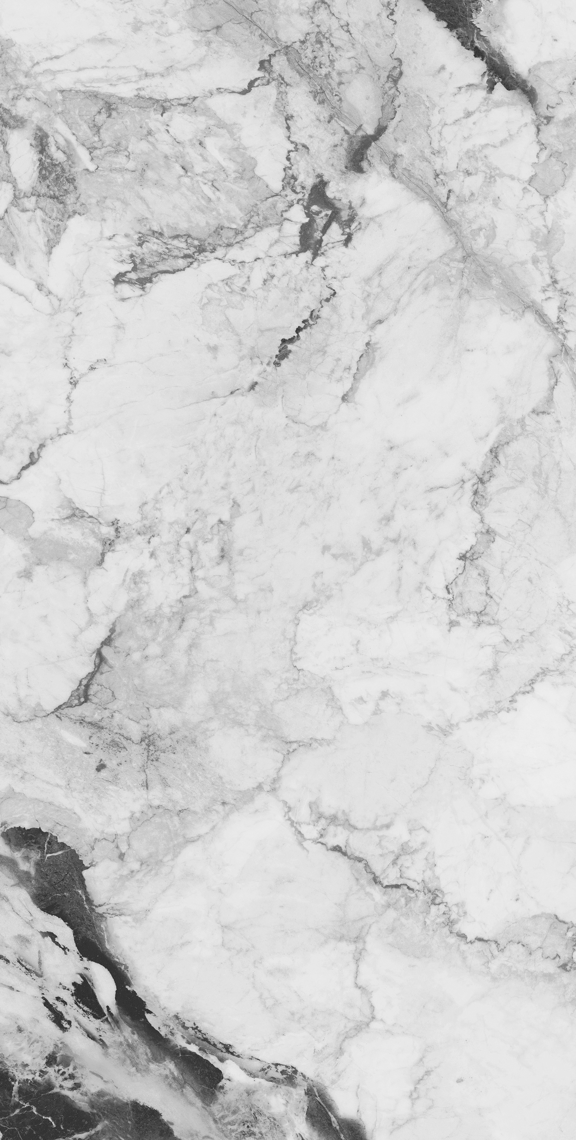 INK PAINTING WHITE
