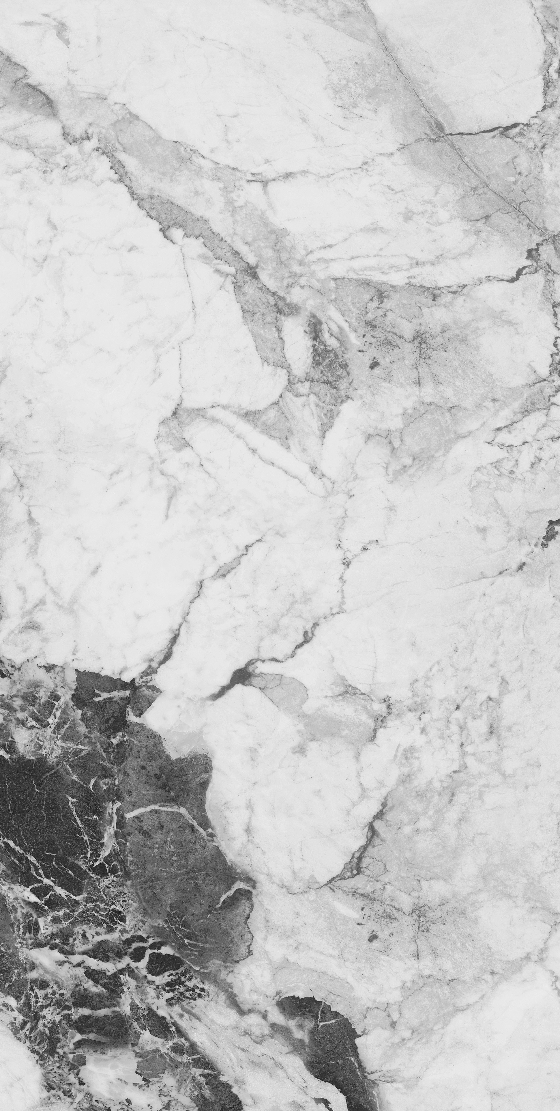 INK PAINTING WHITE