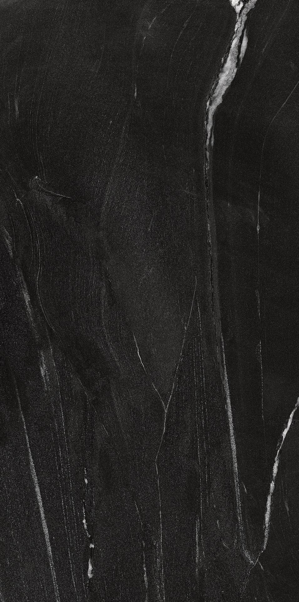 BLACK WARRIOR