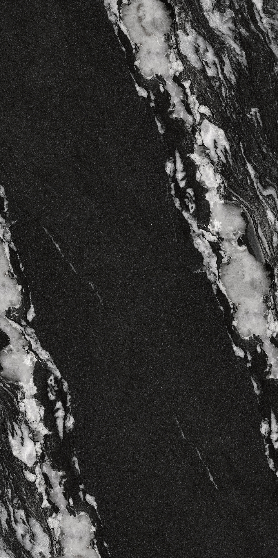 BLACK WARRIOR