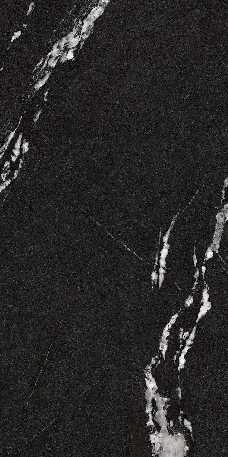 BLACK WARRIOR