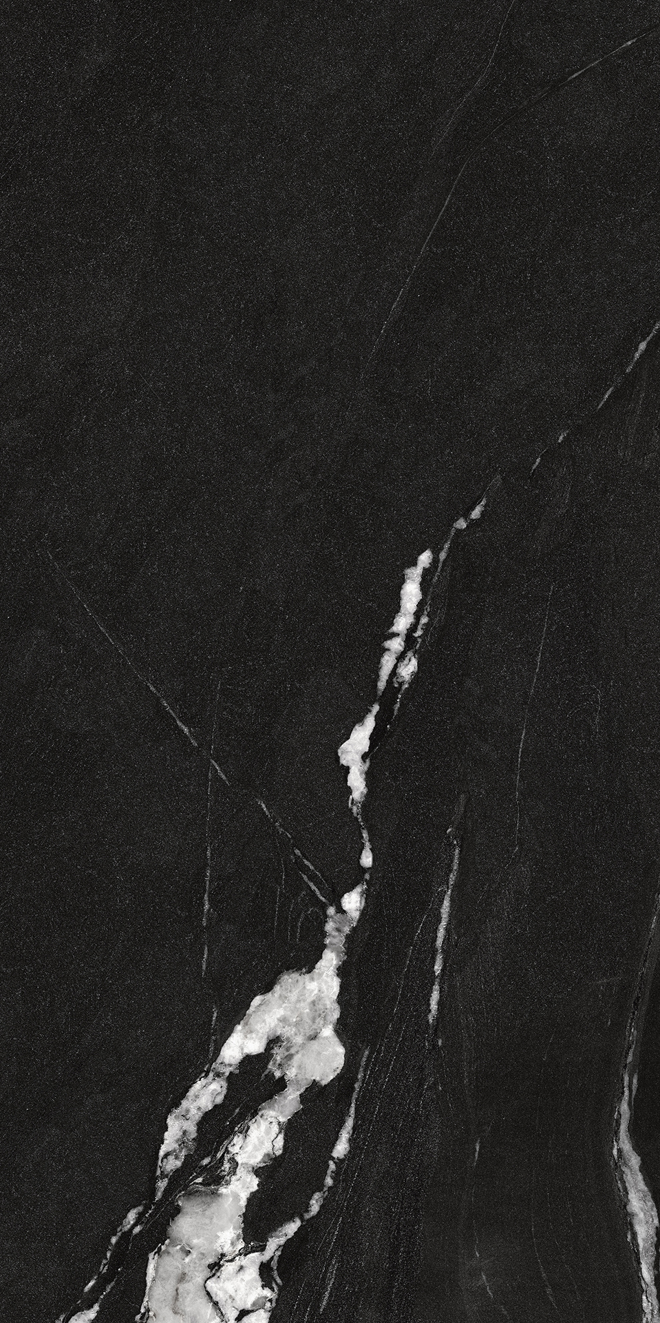 BLACK WARRIOR