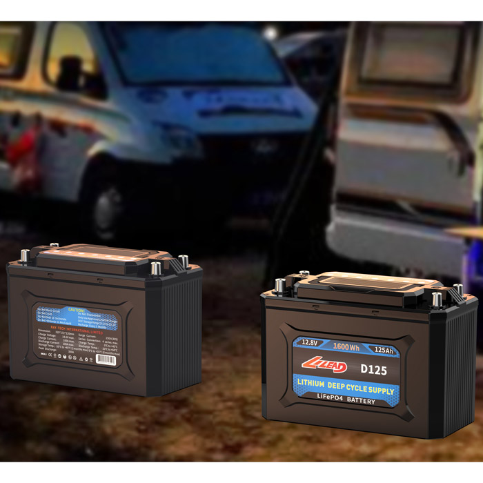 Lithium Iron Phosphate Battery For Solar Motorhome