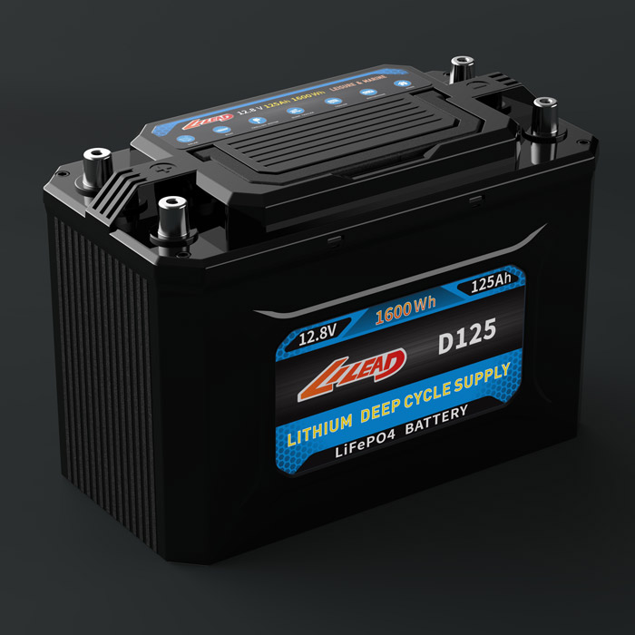 Lithium Iron Phosphate Battery For Solar Motorhome