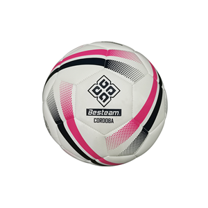 Professional High Quality Official Match Training Soccer Ball with Various Sizes