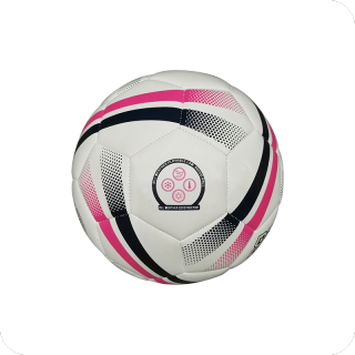 Professional High Quality Official Match Training Soccer Ball with Various Sizes