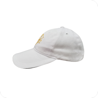 Custom embroidery logo fitted Unisex sports cap hats