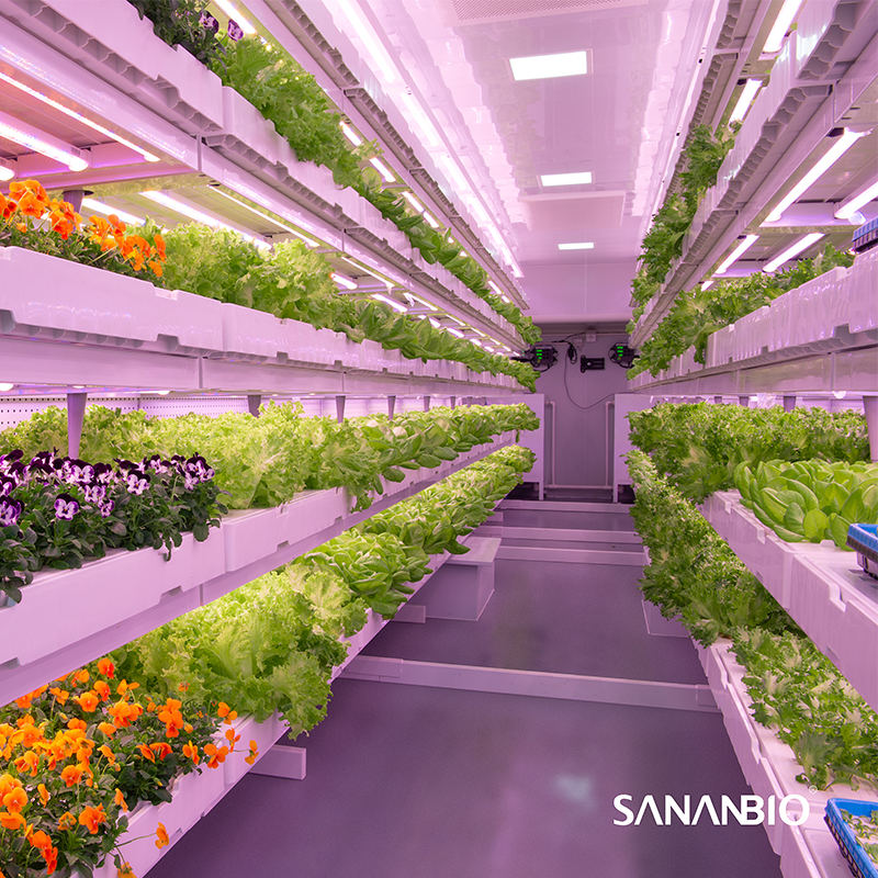 Supply ARK1 0 40ft HQ Indoor Vertical Hydroponic Container Farm 