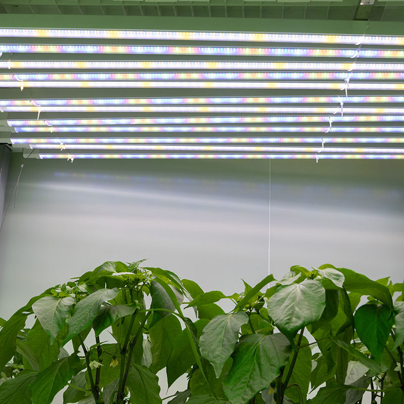 SKYLARK PLUS Low Power Toplight Indoor Farm Light Seedling Light