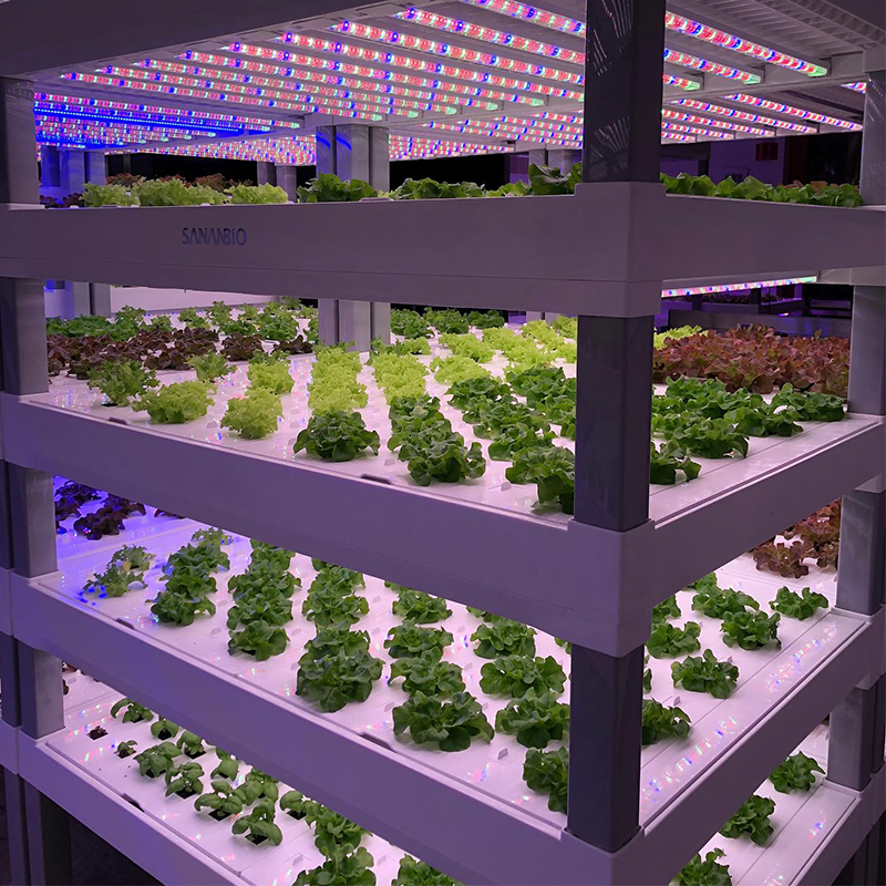 Indoor Vertical Hydroponic Vegetation Cultivation Module