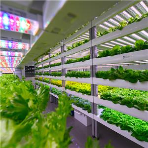 News about ARK Container Farm, RADIX Hydroponic Module, Grow Tent Light ...