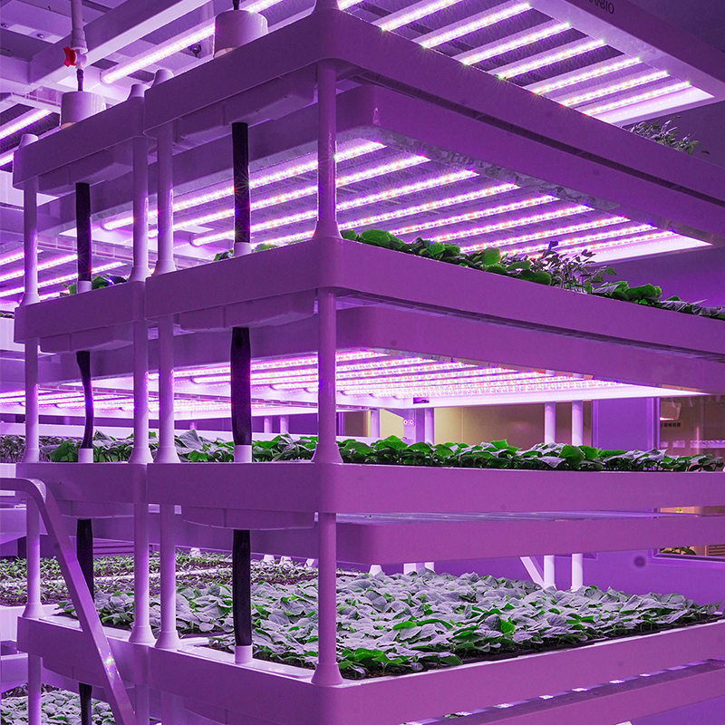 Supply Indoor Vertical Hydroponic Seedling Propogation Module Wholesale