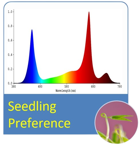 LED grow light