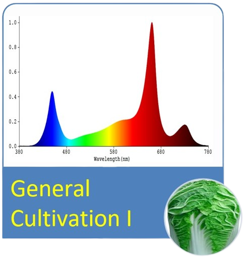 LED grow light