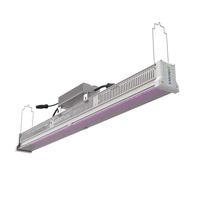 HAWK SINGLE 3.0 Horticulture Grow Lights Grow With Light