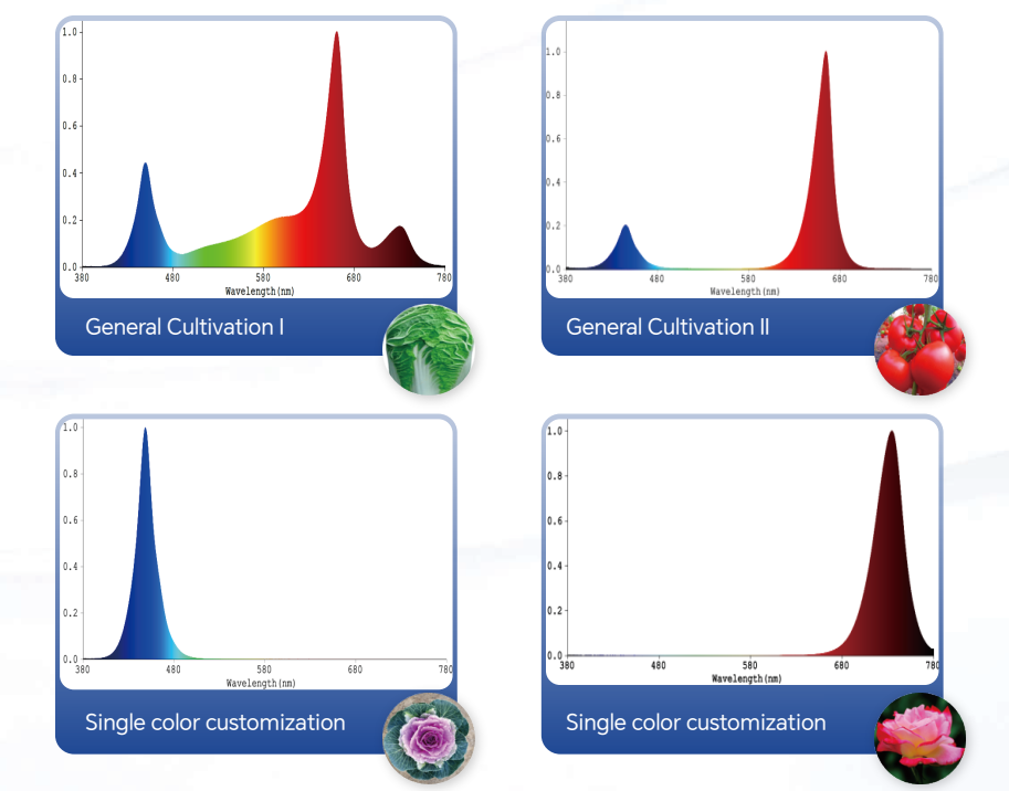 LED grow lights for vertical farming LED grow lights for vertical farming