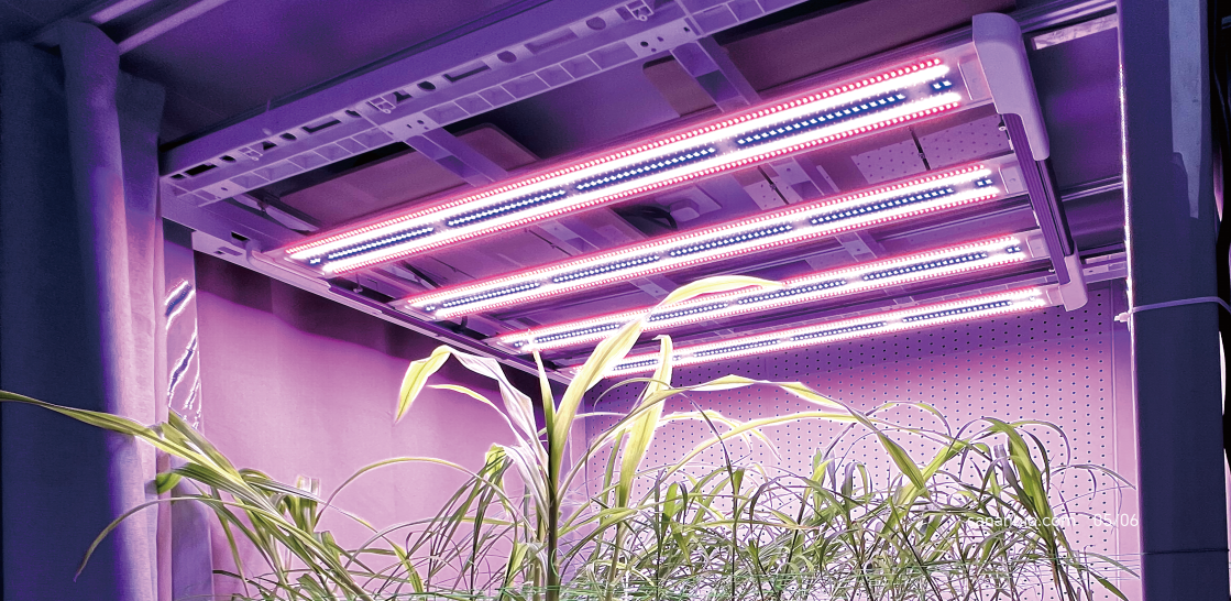 led grow light wattage