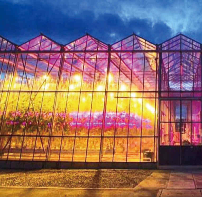 Greenhouse Grow Light Greenhouse Grow Light