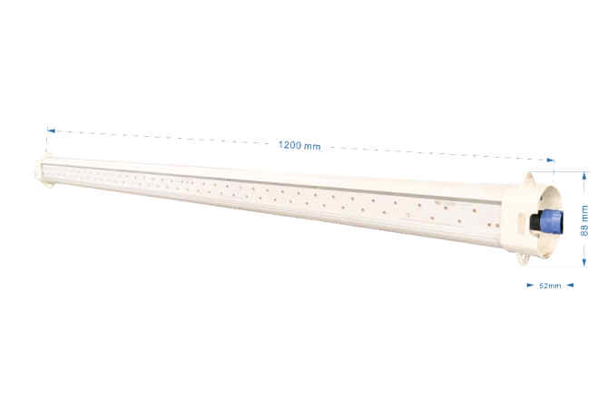 greenhouse supplemental lighting