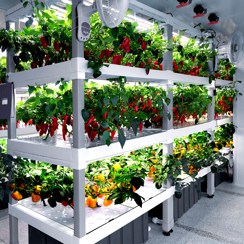 Indoor Vertical Hydroponic Vegetation Cultivation Module