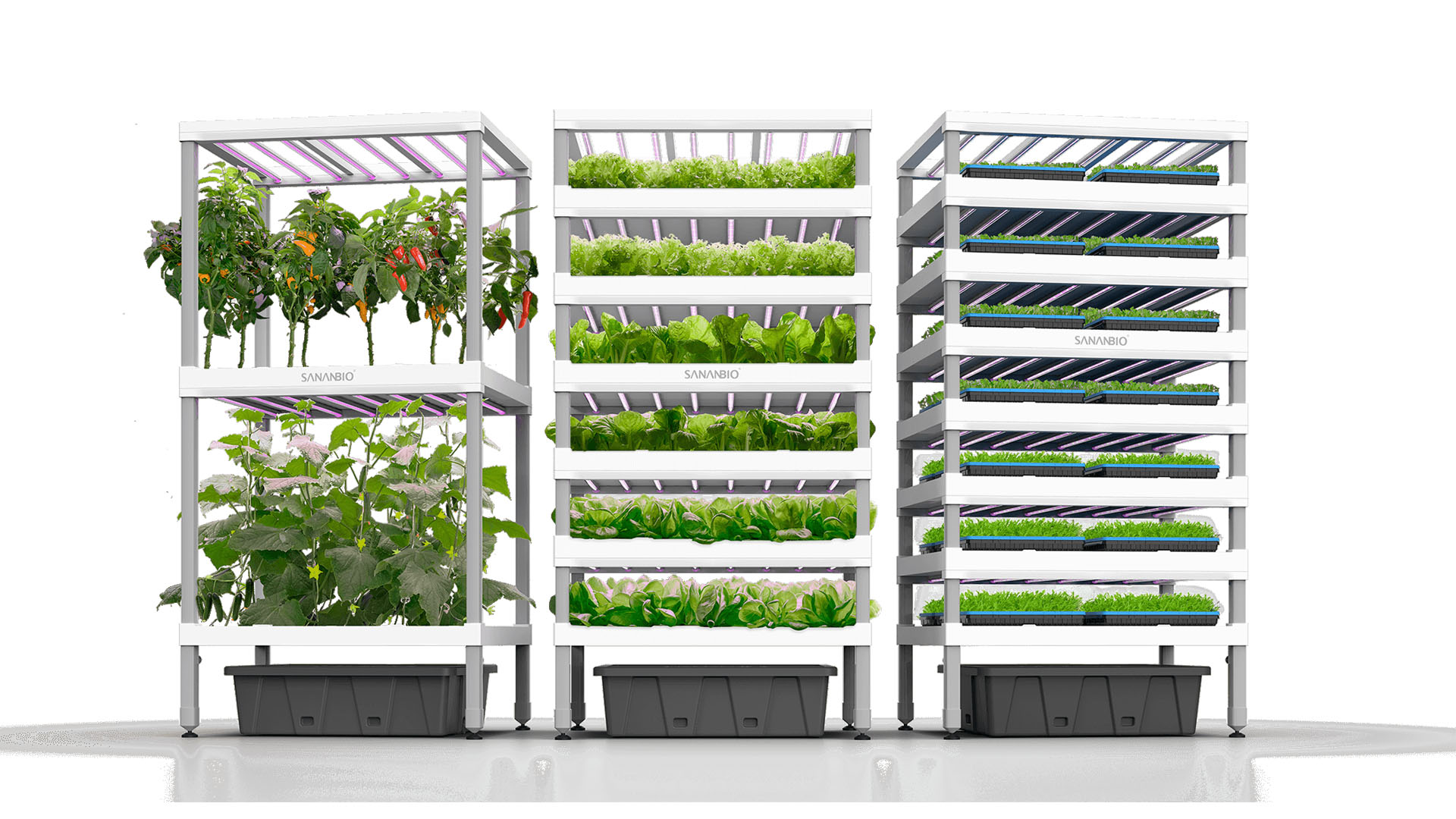 vertical hydroponic system