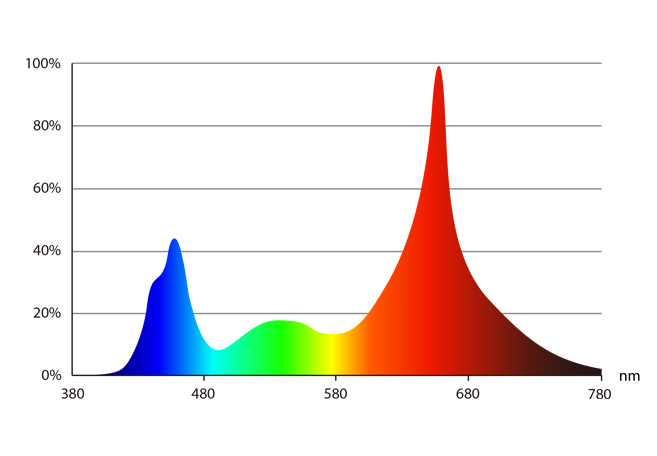 vertical hydroponic module