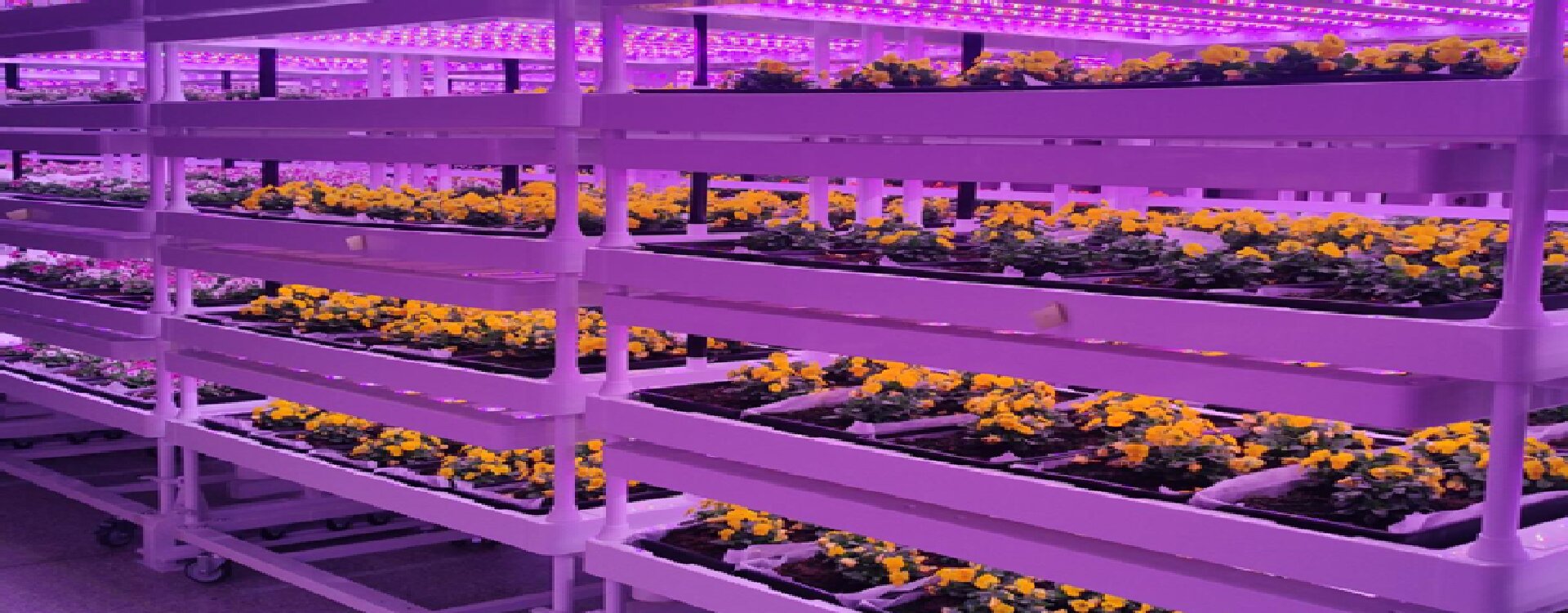 AIO Growing Unit