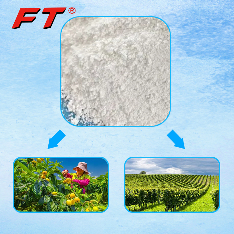 Silicon Magnesium Fertilizer