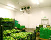 Walk In Cooler For Vegetables / Fruits / Drinks