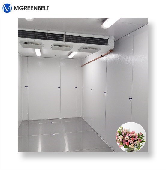 40 Derajat Bitzer Compressor Deep Freezer Cold Room,harga rendah 40