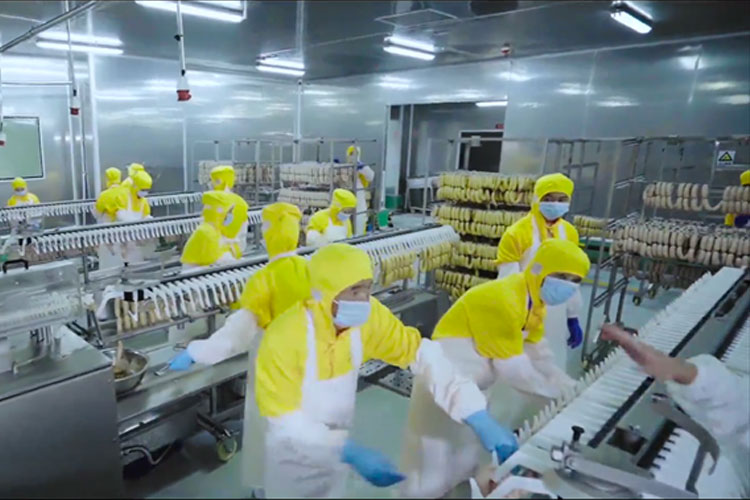 สายการผลิตไส้กรอกอัตโนมัติมีกำลังการผลิต 200 ตัน/วัน