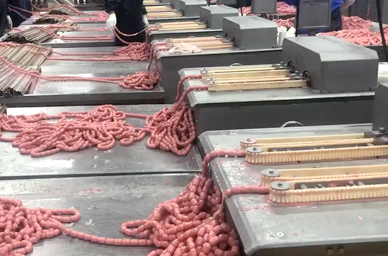 Meat Ball Processing Line