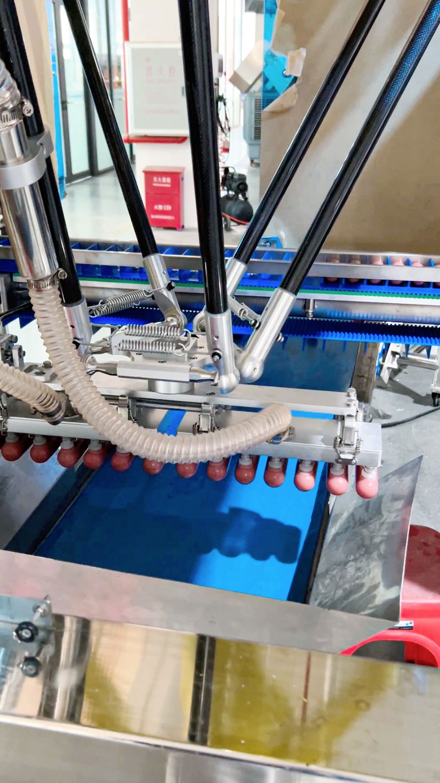 sausage processing machines