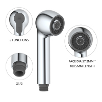 Kitchen faucet with pull down sprayer