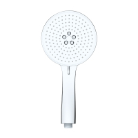 rain shower head with handheld for toilet