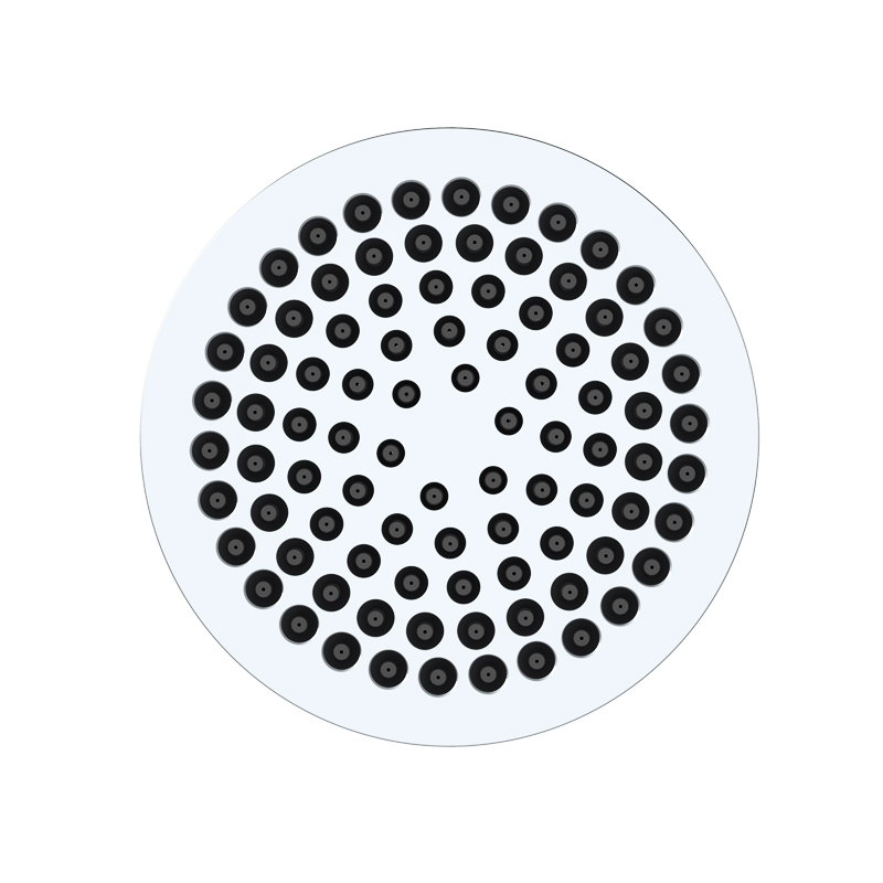 رأس دش كروم محمول باليد