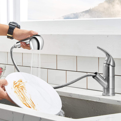 Kitchen faucet with pull down sprayer