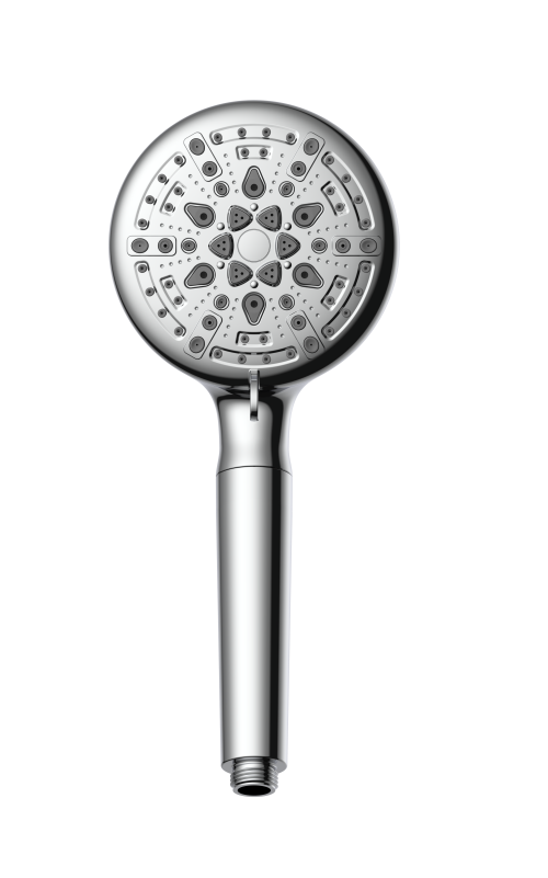 hand held shower head with filter