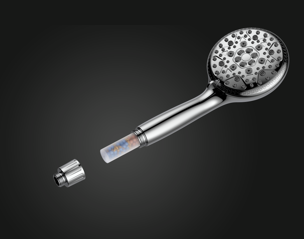 hand held shower head with filter