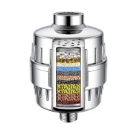 ABS Chrome Shower Filter