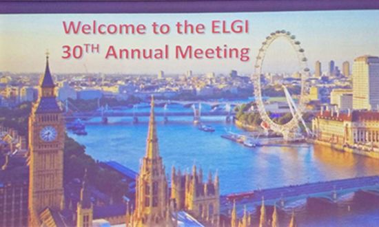 Invited to participate in the 2018 elgi and European grease annual meeting
