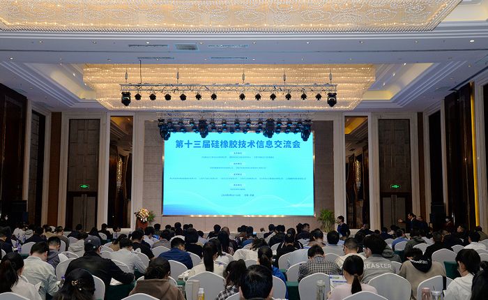 Pioneer New Materials Attended the 13th Silicone Rubber Technology Information Exchange Conference in Jiyuan