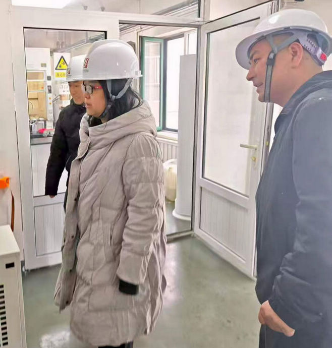 Molybdenum Disulfide