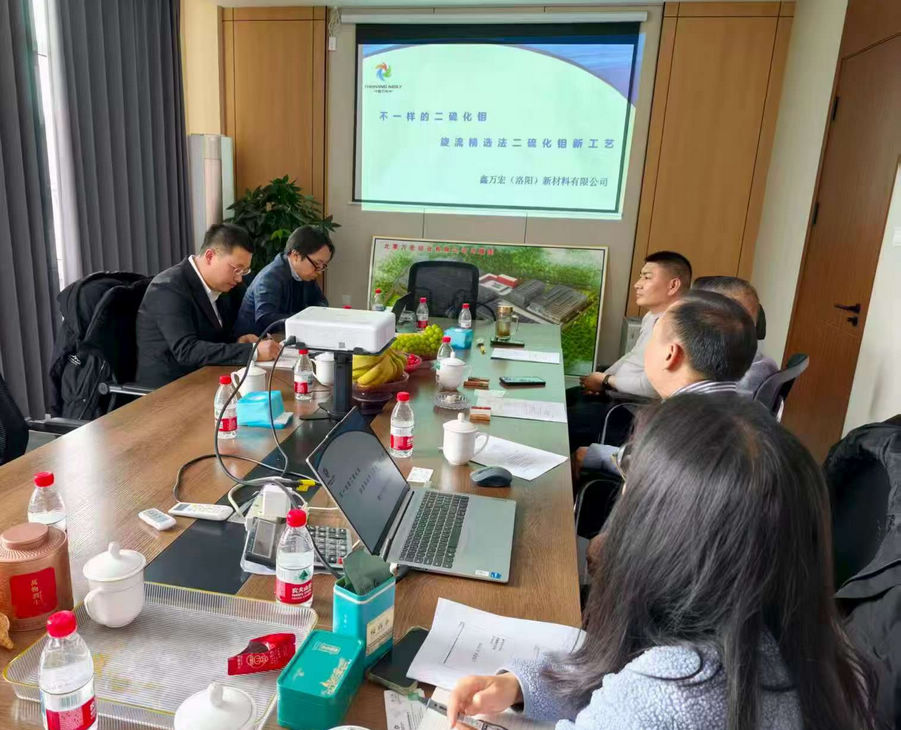 Molybdenum Disulfide