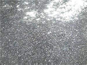 Nickel-coated Molybdenum Disulfide