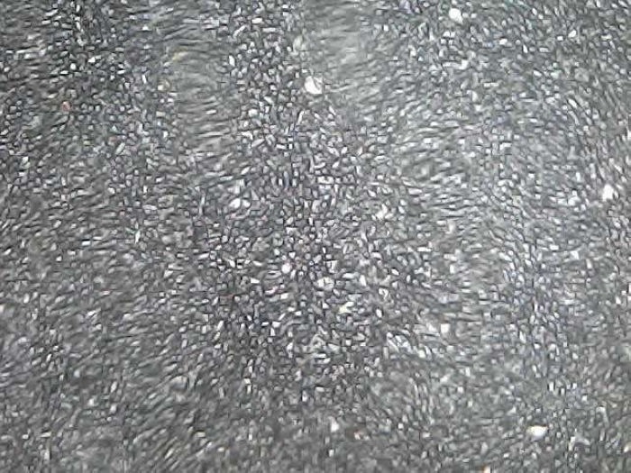 Nickel-coated Molybdenum Disulfide
