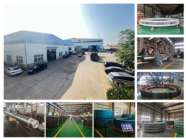 Slewing Ring Slewing Ring